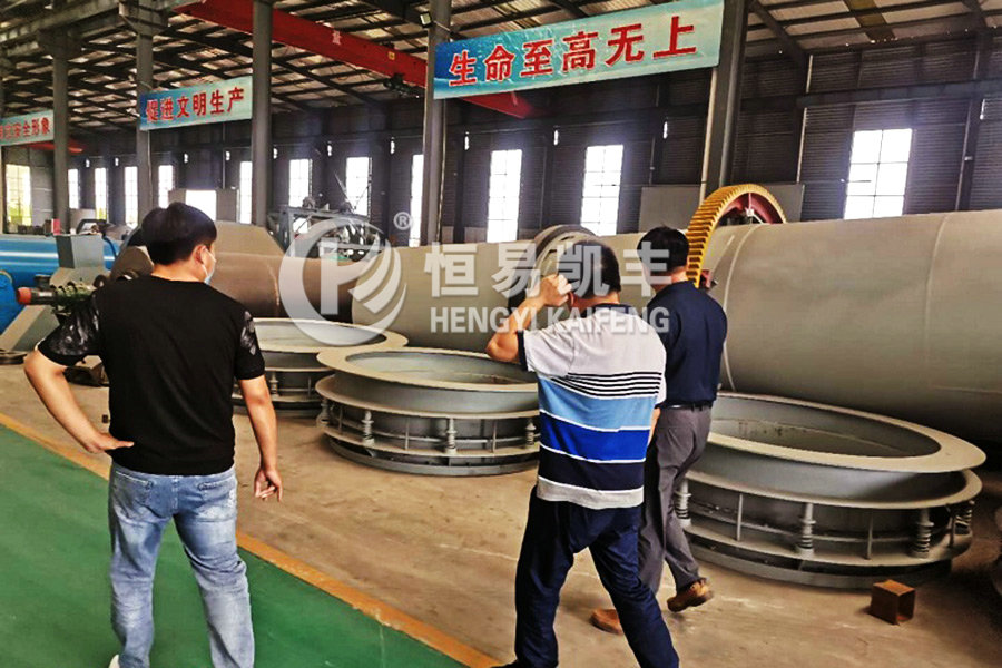 Jilin danzong company visited activated carbon carbonization furnace